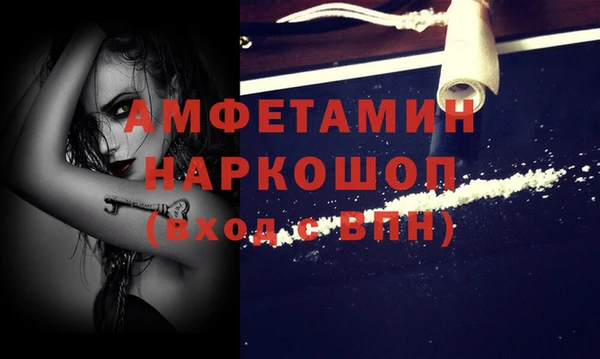 сатива Михайловка