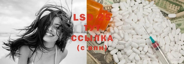 сатива Михайловка