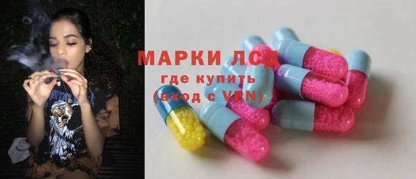 сатива Михайловка