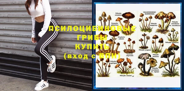 MESCALINE Михайлов