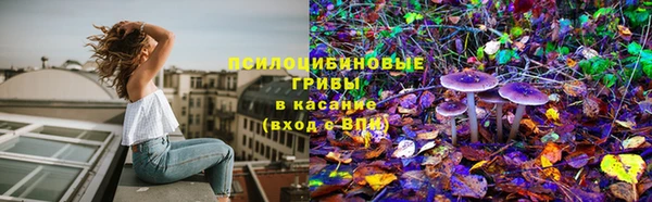 MESCALINE Михайлов