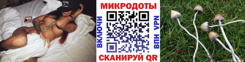 Псилоцибиновые грибы MAGIC MUSHROOMS купить Плавск